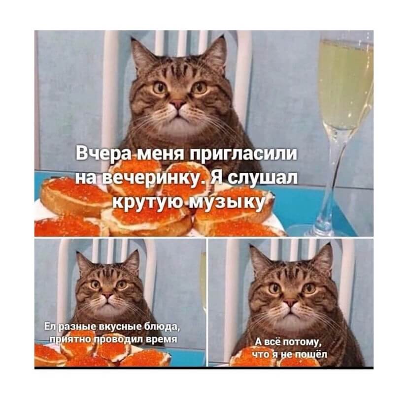 Мем про кота и вечеринку